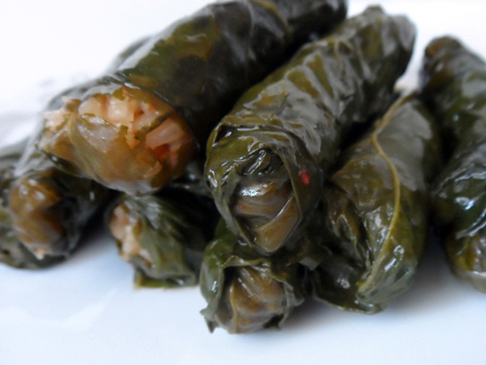 Paz Dolmas